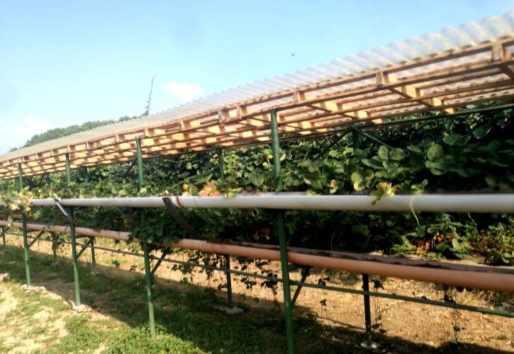 Ruralhack(s), Remote Monitoring and IoT in the field